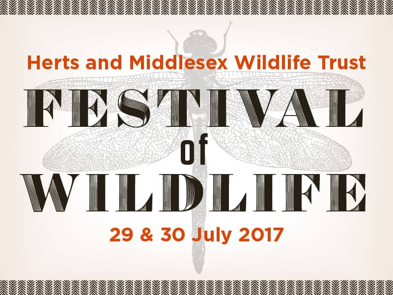 Herts & Middlesex Festival of Wildlife 2017