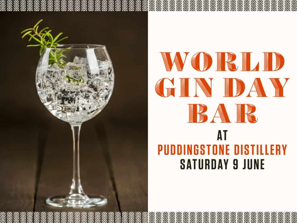 World Gin Day Bar 2018