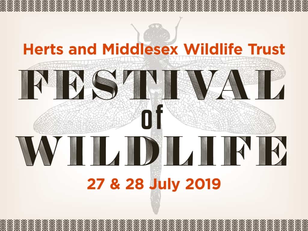 Festival of Wildlife 2019