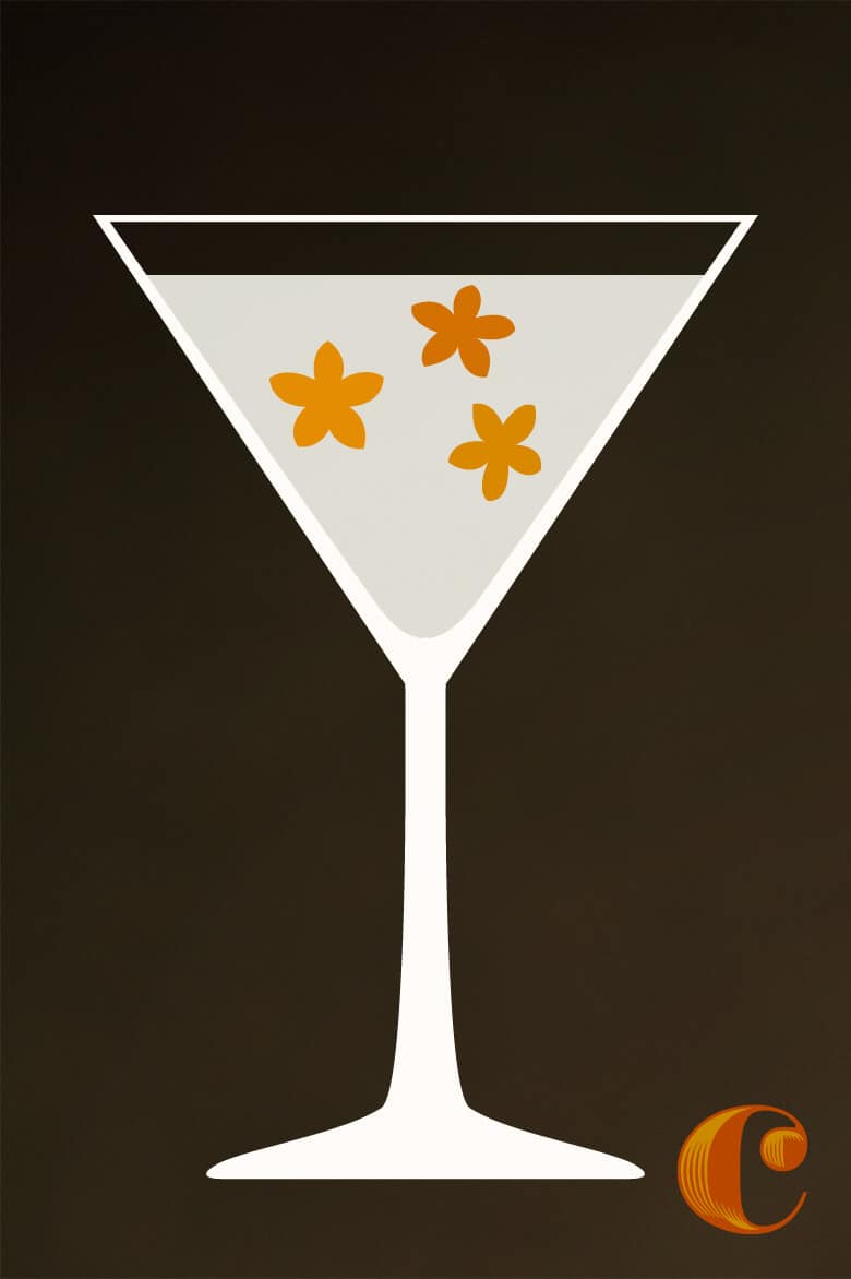Campfire London Dry Gin Bone Dry Martini cocktail recipe
