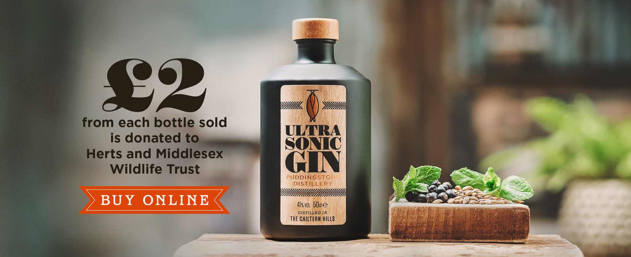 Buy Ultrasonic Gin header