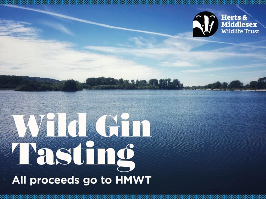 HMWT Walk & Gin Tasting 2023
